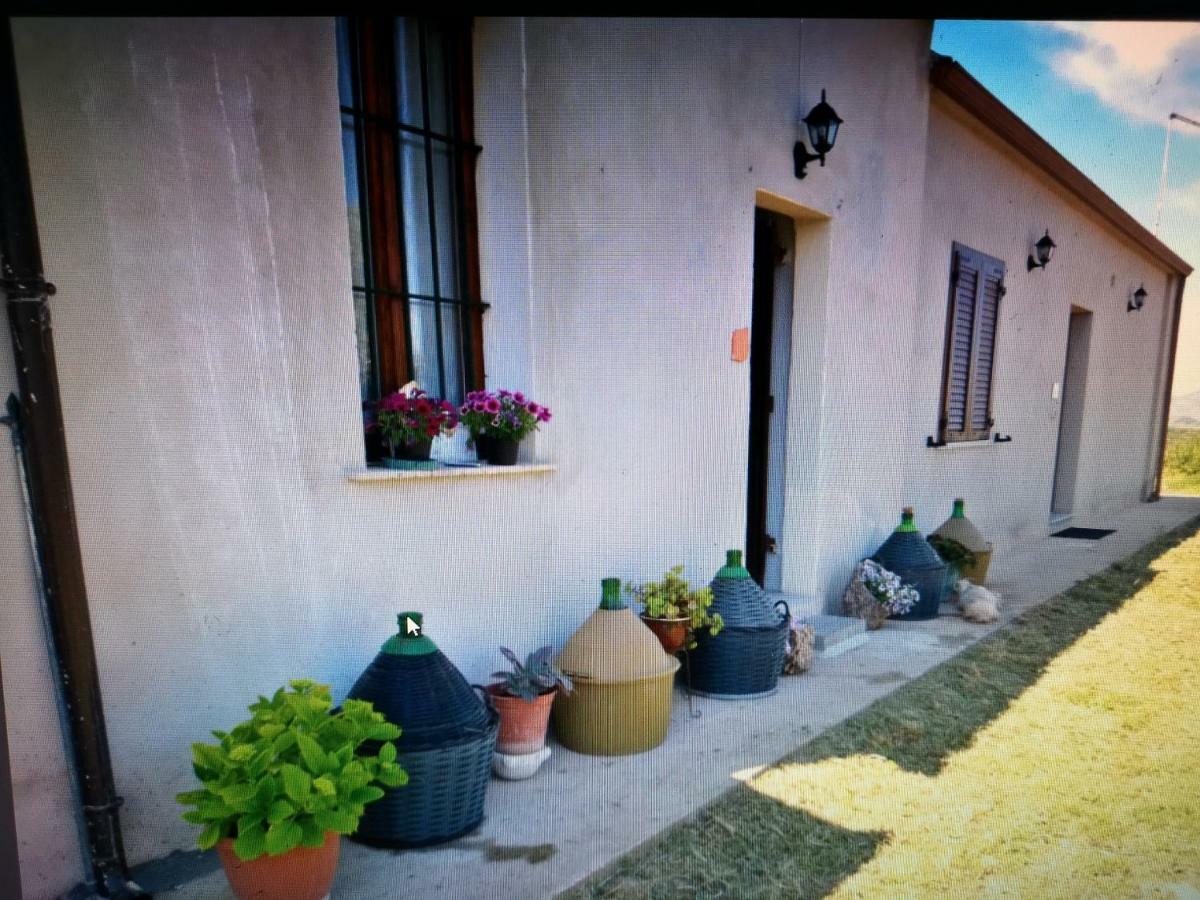 Su Cuile Historical Country House With Barbecue Martis Exterior foto
